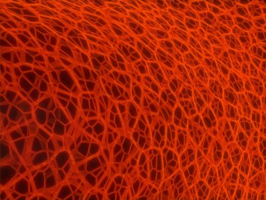 Nöro. hücreleri neurologie arka plan