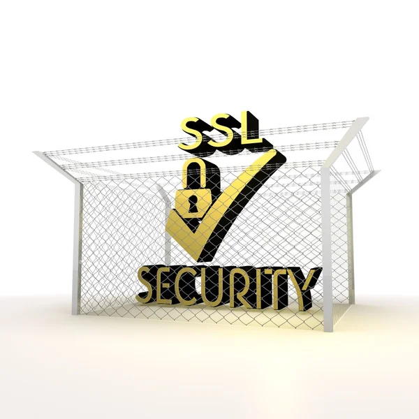 Isolated metallic locked SSL 3d icon — Stock Photo, Image