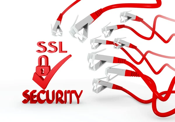 SSL symbool aangevallen door een netwerk van cyber — Stockfoto