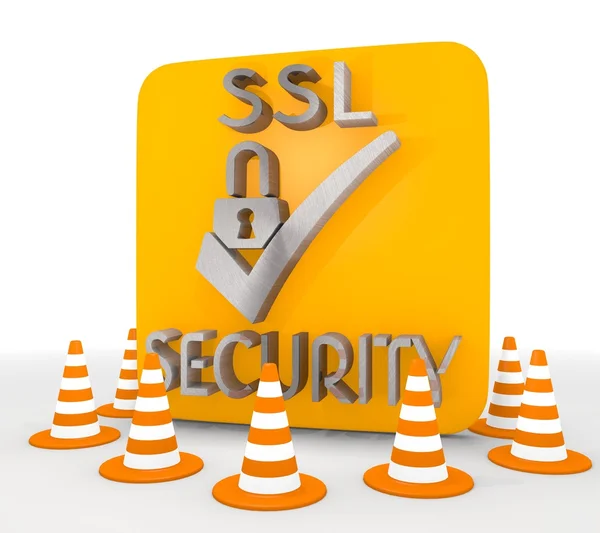Rendu 3d d'une icône SSL métallique — Photo