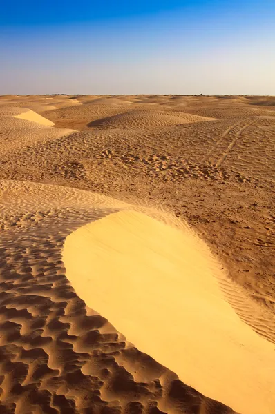 Saara deserto jantares de areia — Fotografia de Stock