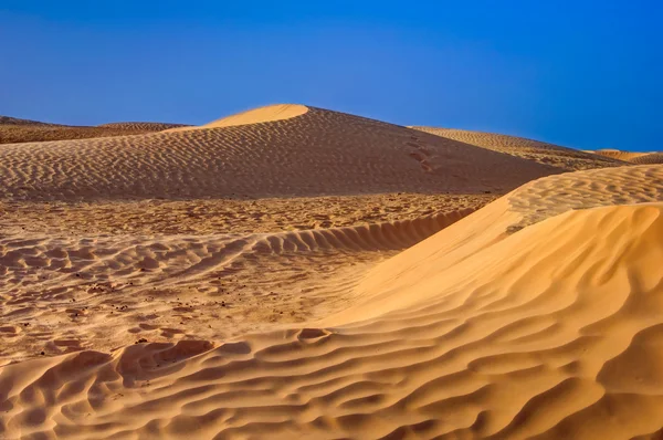 Saara deserto jantares de areia — Fotografia de Stock