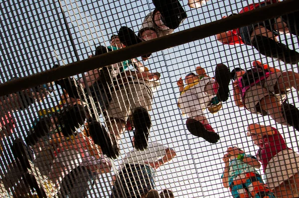 Imagem do pé na plataforma de arame de metal a partir de uma perspectiva de formiga - Olhe das células gladiadoras no El Jem Coliseu na Tunísia — Fotografia de Stock