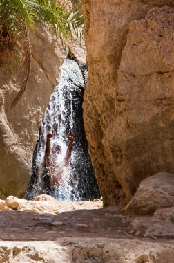 Tunus chebika oasis şelale