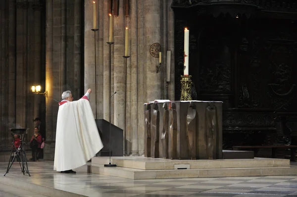 notre dame Katedrali, paris, Fransa, toplu sırasında rahip