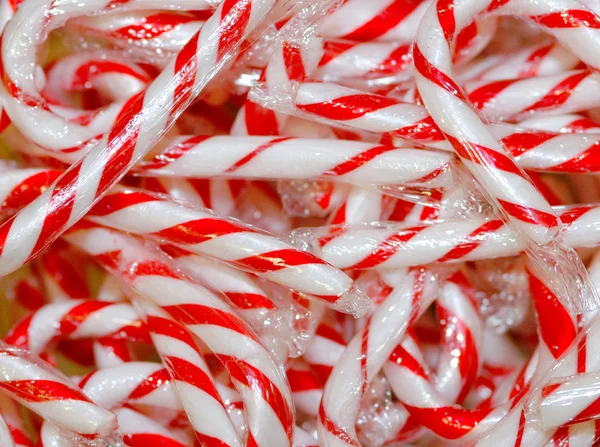 Candy Canes 1 — Stock Photo, Image