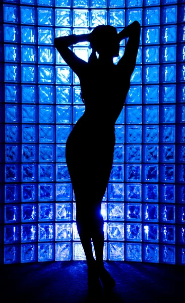 Sexy Silhouette Stockbild