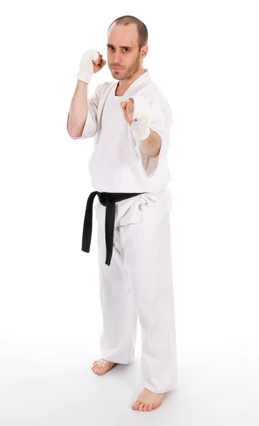 Artes marciales Imagen de stock