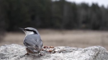 Avrasya tımarhanesi bir lokma yiyecek almak için bile çok ihtiyatlı..