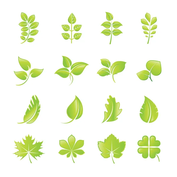 Set of green leaf icons — Stock Vector