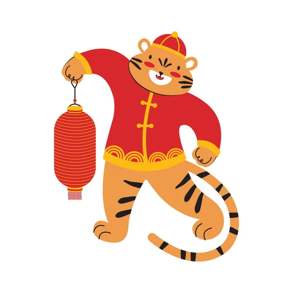 Nouvel an chinois du tigre 2022. Mignon tigre tient une lanterne en papier rouge chinois dans ses pattes pour célébrer la fête du printemps. Caractère de bande dessinée dans les vêtements traditionnels. Illustration vectorielle dessinée main — Image vectorielle