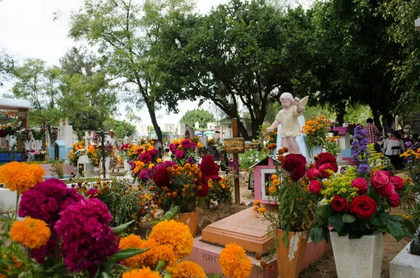 Ozdobić groby kwiatami — Zdjęcie stockowe