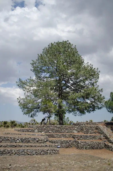 Cantona. Archaeological site in México — Stock fotografie