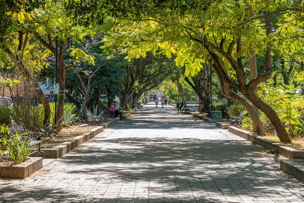 OAXACA, OAXACA, MEXICO - 24 Aralık 2021: Oaxaca, Meksika 'da güneşli bir günde El Llano' nun güzel ağaçlı manzarası
