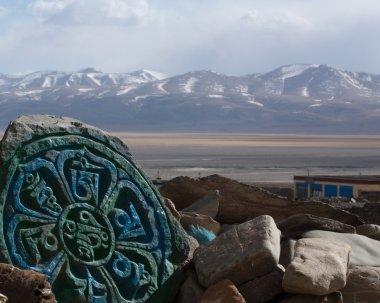 Yaşam Çiçeği