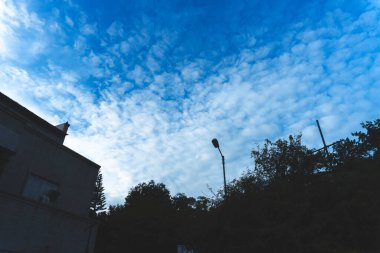 Ağaç ve gökyüzü arkaplanı olan modern ofis binası