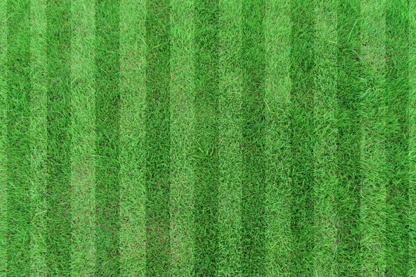 Top Uitzicht Streep Gras Voetbalveld Groene Gazon Patroon Achtergrond — Stockfoto