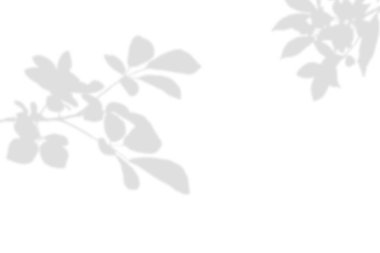 Doğal yapraklar ve beyaz arkaplan üzerindeki gölgeler soyut olarak bulanık.