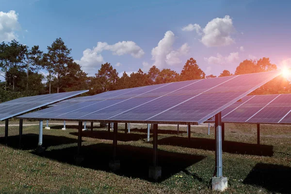 Panneau Solaire Photovoltaïque Source Électricité Alternative Ressources Durables Concept Énergie — Photo