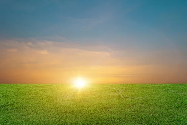 Groen Grasveld Bij Prachtige Zonsondergang Hemel Achtergrond Landelijk Landschap — Stockfoto