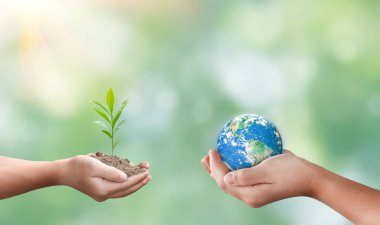 Ellerin küreselleşmesi ve bulanık doğa arka planında filizlenme. Bitki yetiştirme ve çevre dostu kavram. Bu görüntünün elementleri NASA tarafından desteklenmektedir