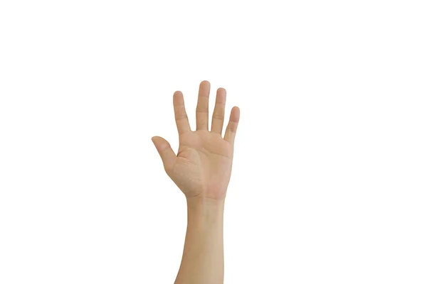 Palm Ung Man Hand Isolerad Vit Bakgrund Ingår Klippning Väg — Stockfoto
