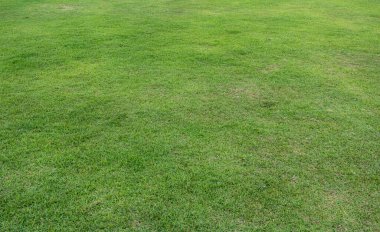 Spor arkaplanı için yeşil çayır çimen alanı.