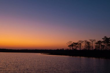Gölün ya da nehrin kıyısında gün doğumu. Sabahın erken saatlerinde. Ormanın siluetleri ve yükselen güneşin ışınları.