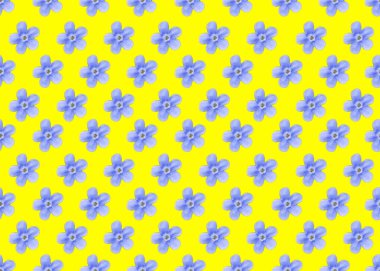 Sarı arka planda açık mavi çiçekler Veronica Beccabunga deseni