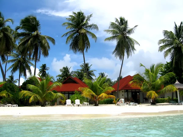 Νησί Μαλδίβες Royalty Free Φωτογραφίες Αρχείου