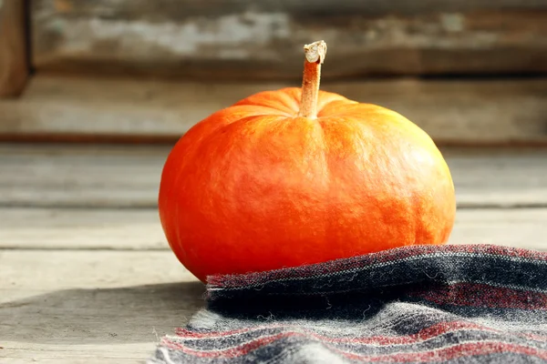 Large pumpkin Stock Picture