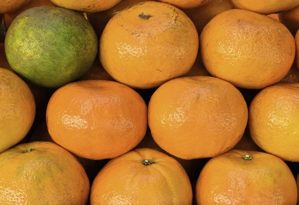 Различные концепции - один зеленый между зелеными апельсинами — стоковое фото