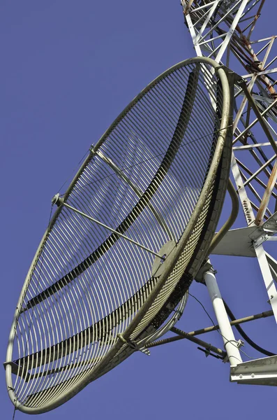 Satellietschotel op een telecommunicatie-toren — Stockfoto