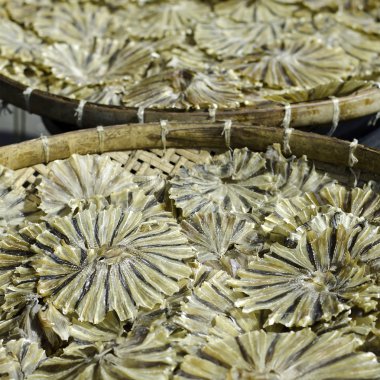 bambu sepet içinde güneşte kurutulmuş vatoz balığı.