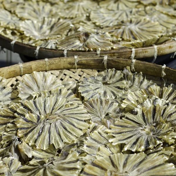 Peixe Stingray seco ao sol em cesta de bambu . — Fotografia de Stock