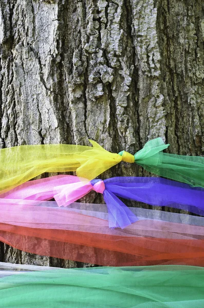 Heiliger Baum mit buntem Stoff — Stockfoto