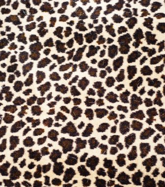 Leopar deri
