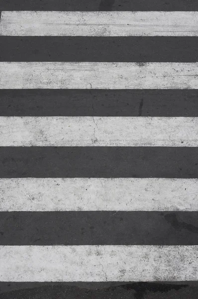 Zebra znamení — Stock fotografie