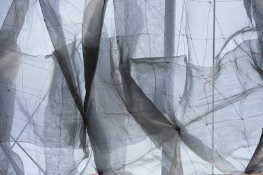 kumaş üzerindeki soyut çizgi 