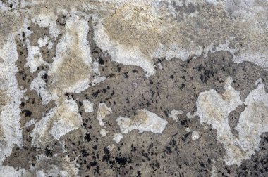 grunge zemininde soyut biçim ve doku