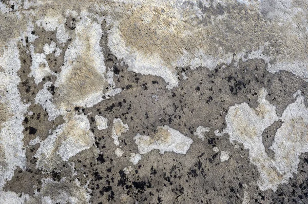 grunge zemininde soyut biçim ve doku