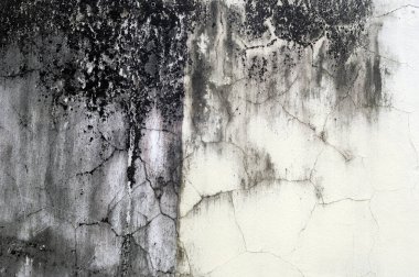 grunge zemininde soyut biçim ve doku