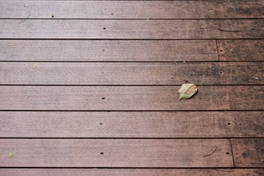 Tahta desenli kuru yaprak