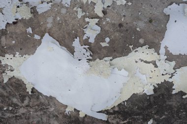 Betondan çatlak deri ve duvarın dokusu