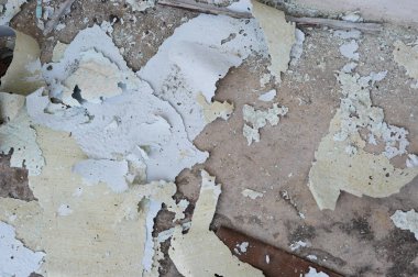 Betondan çatlak deri ve duvarın dokusu