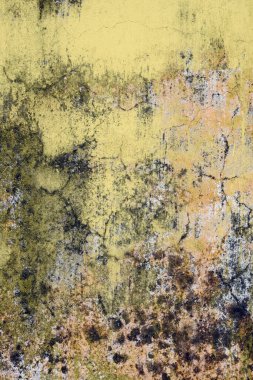 grunge duvar ve çatlak duvar