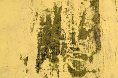 grunge duvar ve kirli duvar