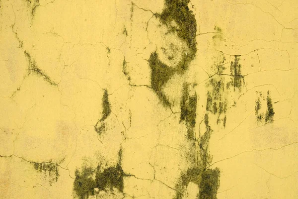 grunge duvar ve çatlak duvar