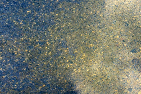 Reflect Water Grunge Floor — Fotografia de Stock