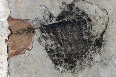 Grunge Rock 'ta soyut biçim ve doku